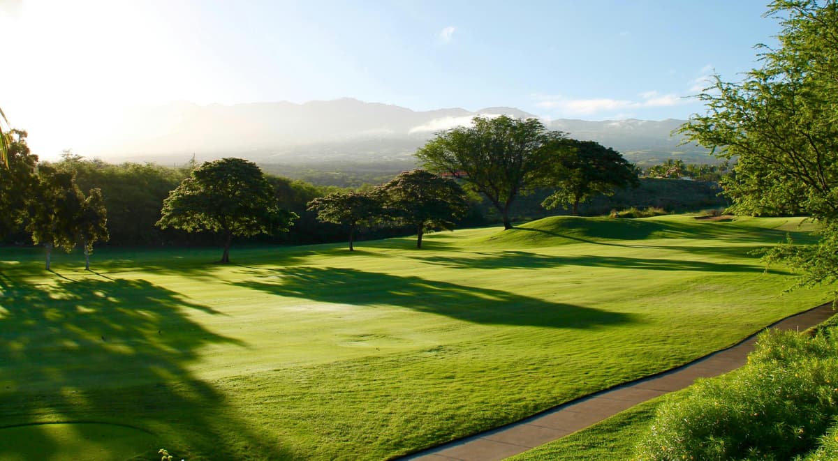 Golf course